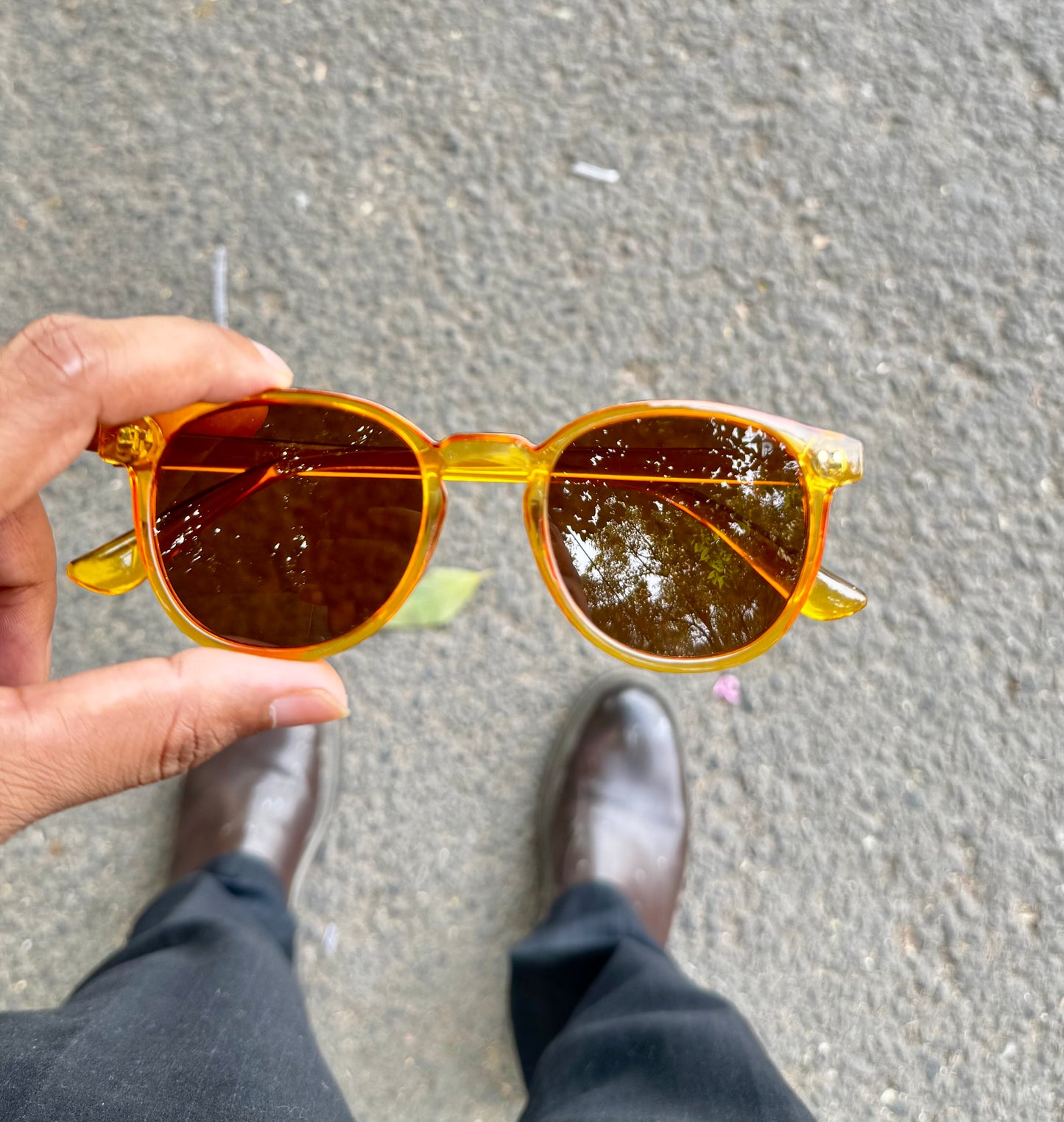 Mango Unisex Sunglasses
