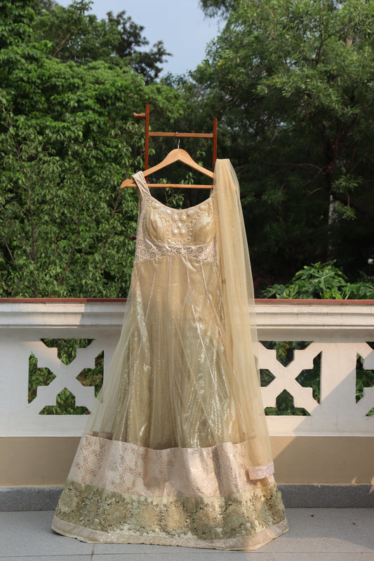 Radiant net Anarkali gown with Duppata